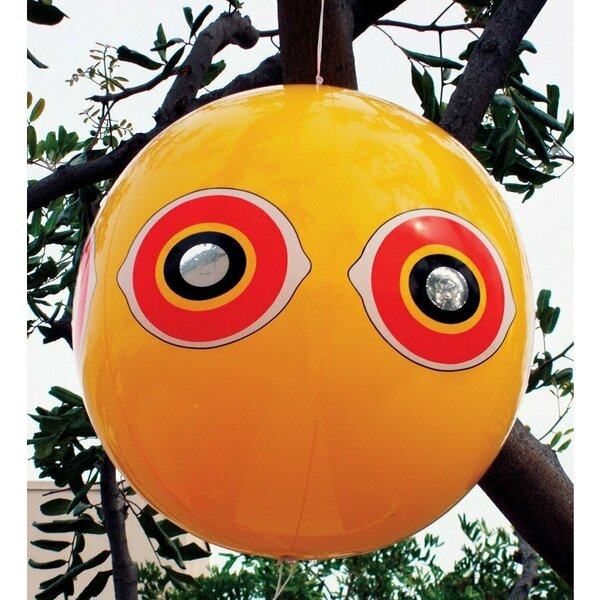 Bird -B-Gone Bird-X 3d Scare Eye Balloon For Bird Control MMSEB